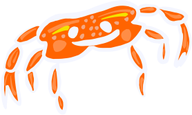 7.lips crab